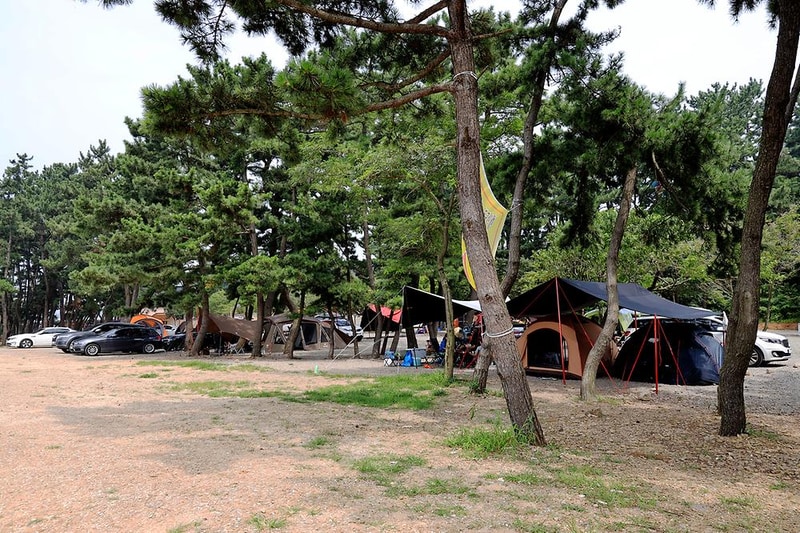 대부도나라캠핑장 시설 사진 3