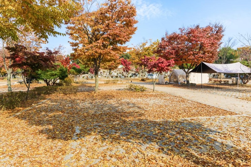 화성시 향남 오토캠핑장 시설 사진 74