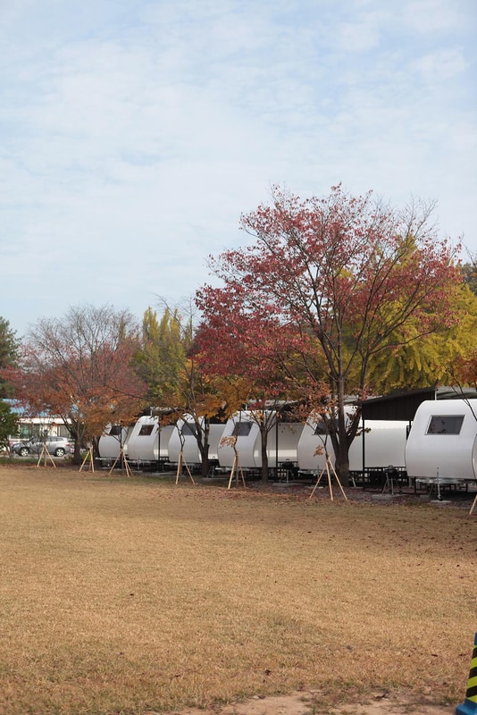 괴강관광농원 시설 사진 87