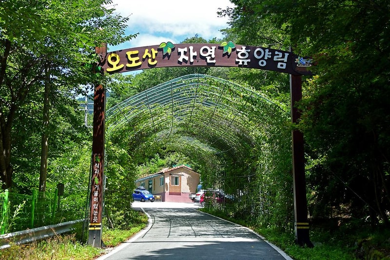 오도산 자연휴양림 시설 사진 8