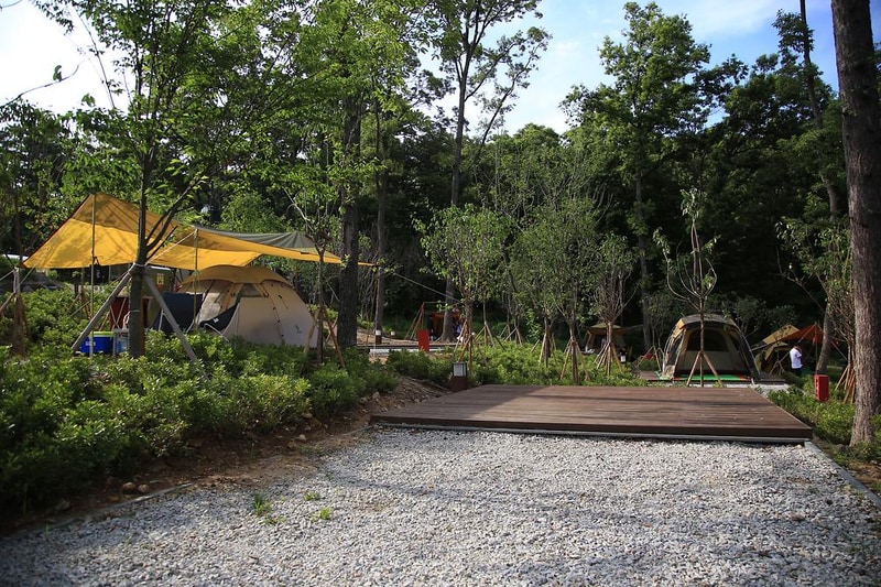 덕산국민여가캠핑장 시설 사진 10