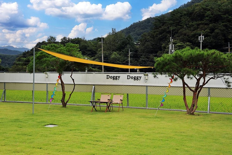 도기도기캠프 시설 사진 13