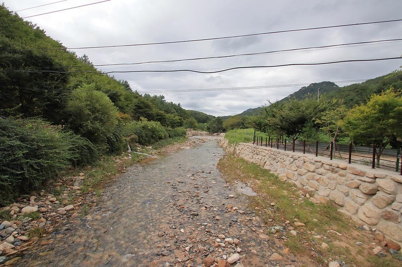 녹색오토캠핑장 시설 사진 13