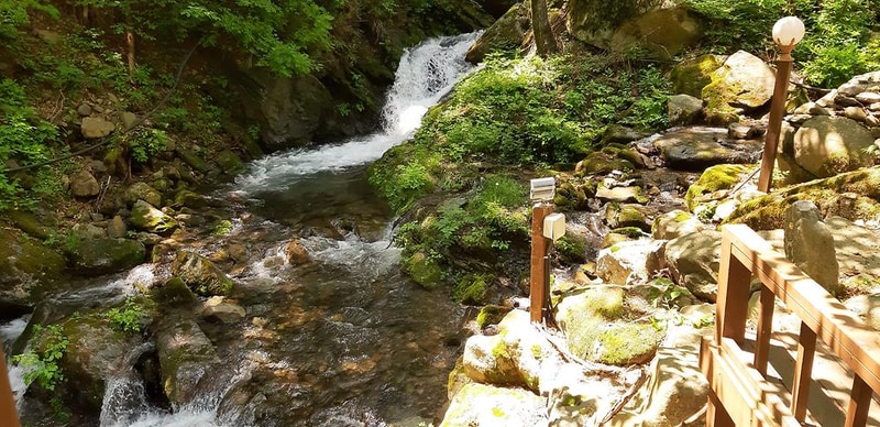 정선 도원펜션&캠핑장 시설 사진 8