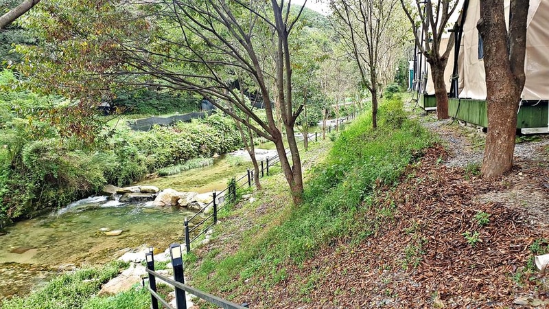 계룡산글램핑 동월숲 시설 사진 15