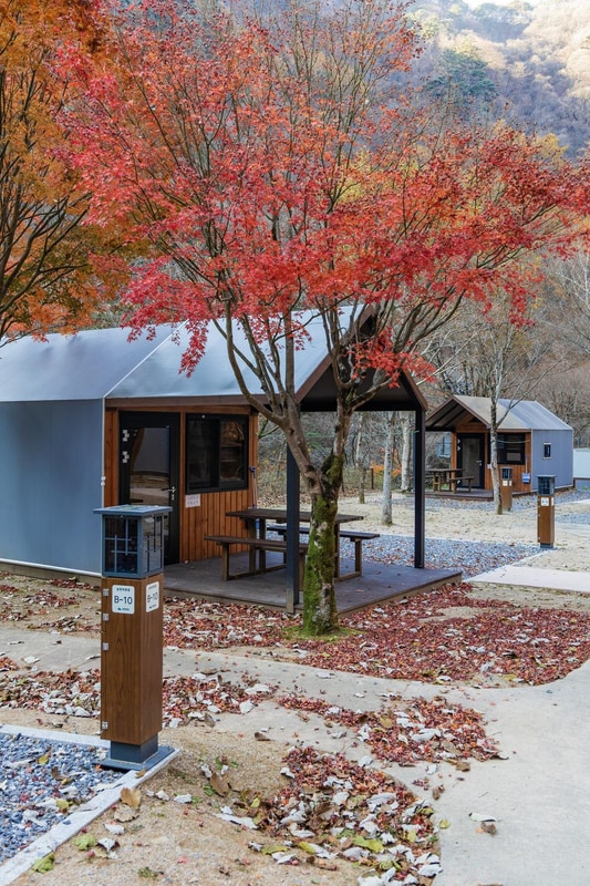 소백산국립공원 남천야영장 시설 사진 38