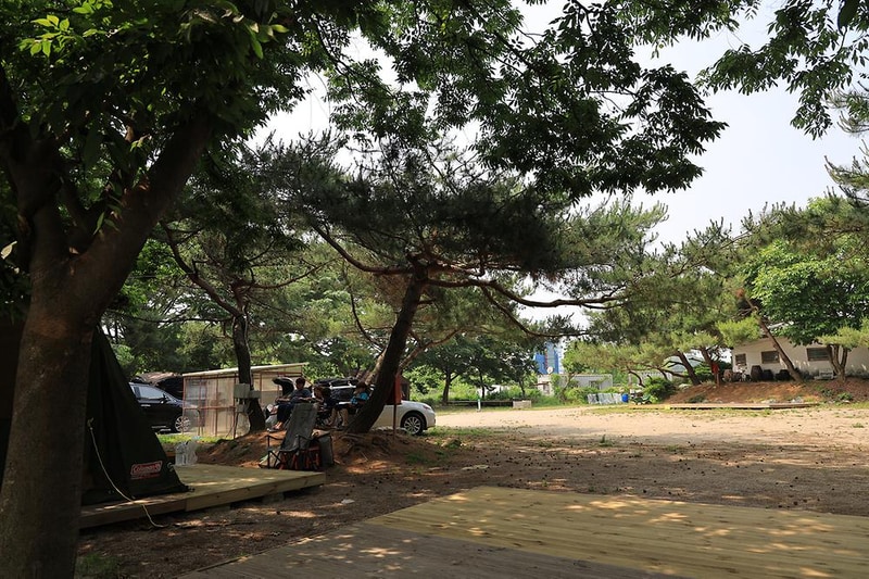 황산도캠핑장 시설 사진 7