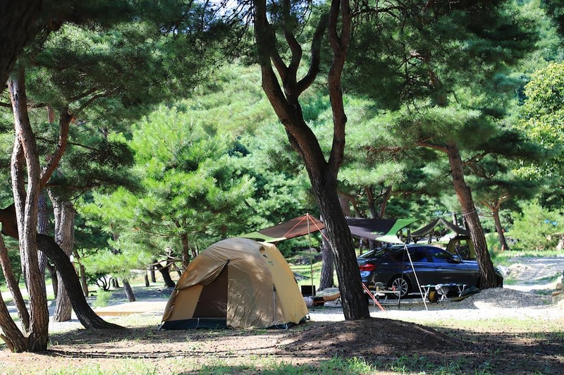 솔뜰 캠핑장 시설 사진 13