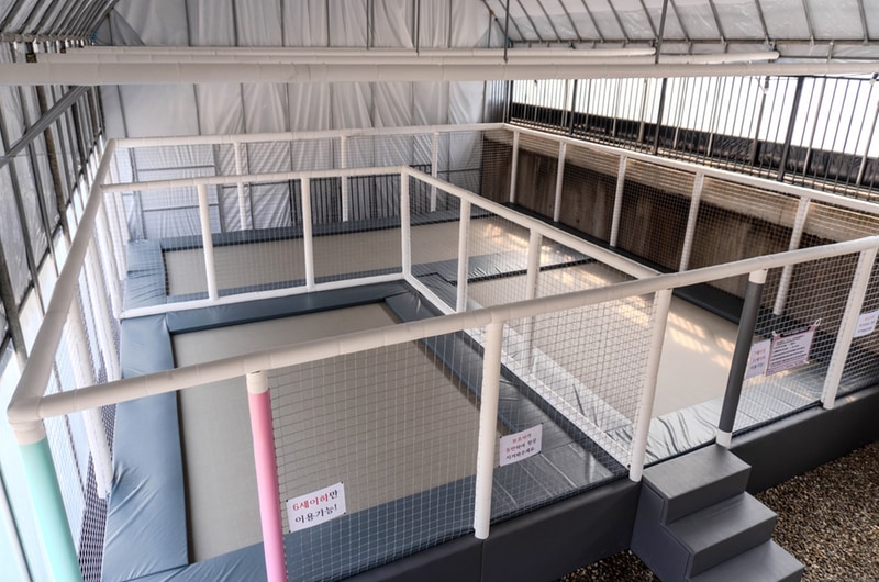 이숲캠핑장 시설 사진 10