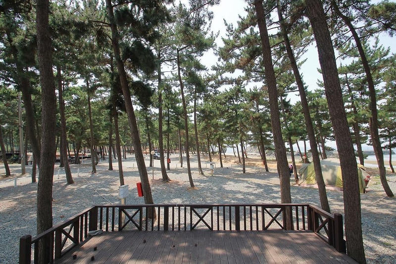 곰섬캠핑장 시설 사진 12