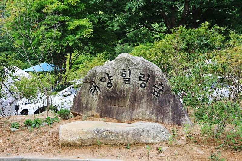 태양힐링숲 시설 사진 14