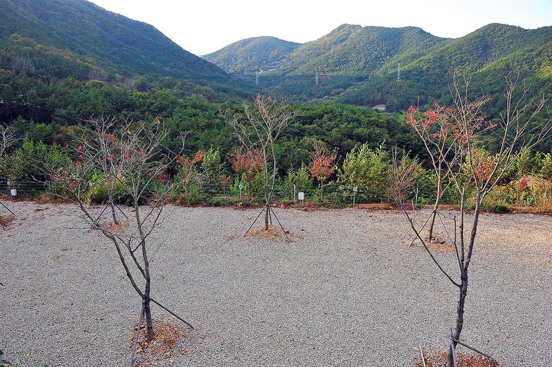 충효테마관광농원야영장 시설 사진 7