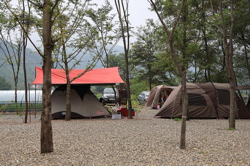 메타피아 오래캠핑장 & 카라반 시설 사진 13