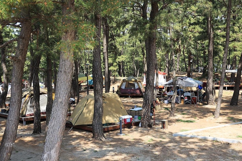 맹방 비치캠핑장 시설 사진 15