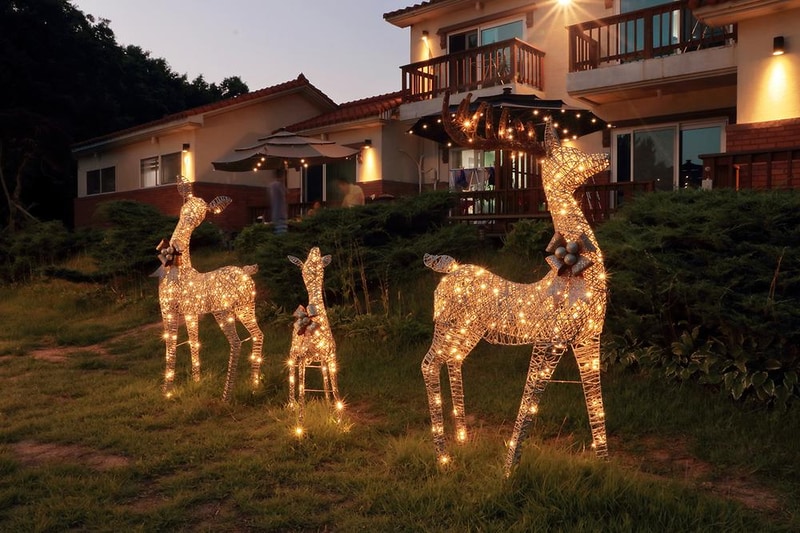 CLUB 596 시설 사진 6