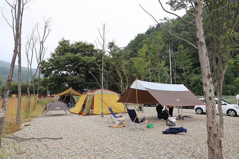 메타피아 오래캠핑장 & 카라반 시설 사진 26