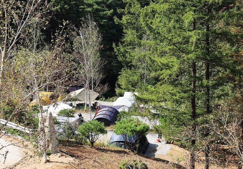 알지캠프266 시설 사진 14