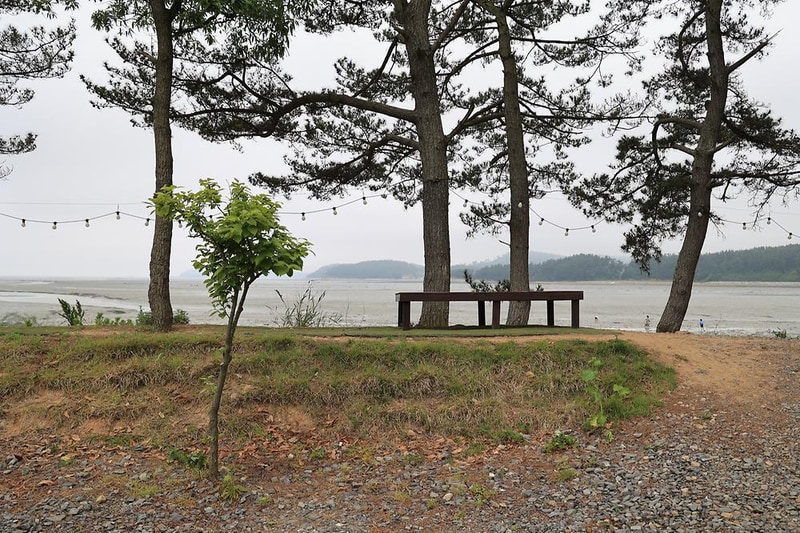 체로키캠핑장 (Cherokeycamp) 시설 사진 15