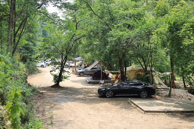 평창 태기산 캠핑장 펜션 시설 사진 2