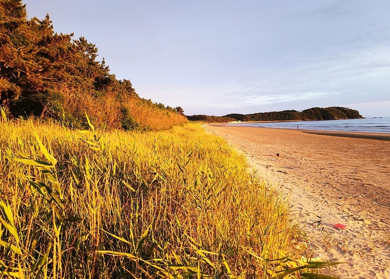 태안노을숲캠핑장 시설 사진 6