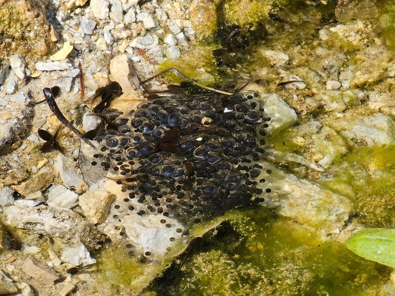 단양 별마루캠핑장 시설 사진 11