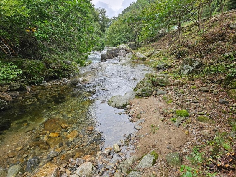 월성자연캠핑야영장 시설 사진 4