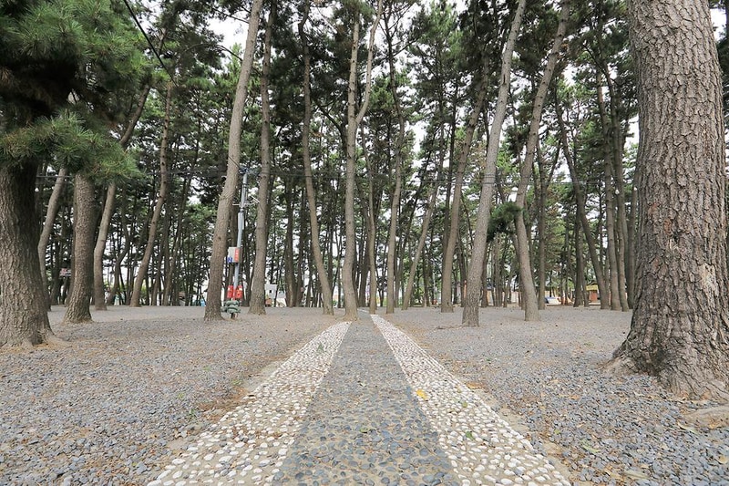 춘장대나드리캠핑장 시설 사진 12