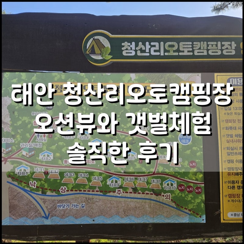 청산리오토캠핑장