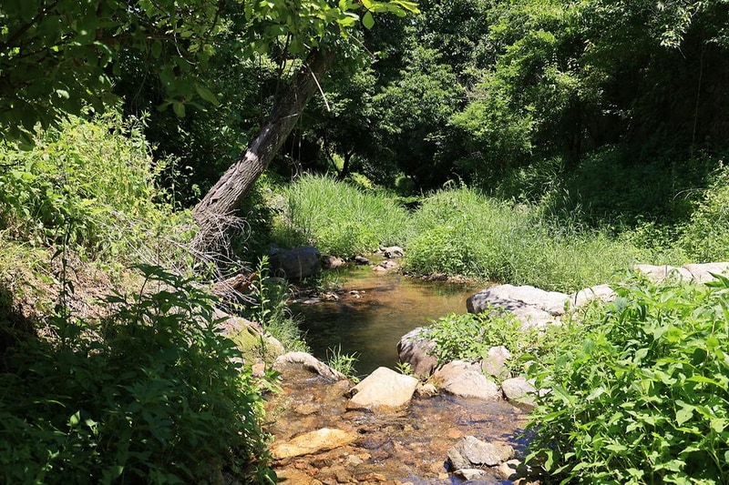 까사스위스 캠핑장 시설 사진 1