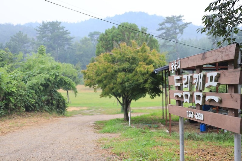 숲속의드림캠프야영장 시설 사진 1