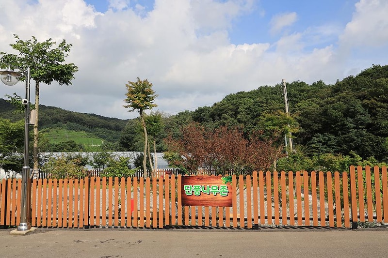 청계산 골든밸리 가족캠핑장 시설 사진 1