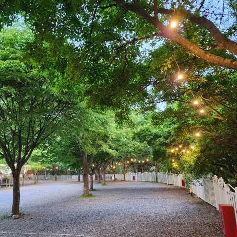 요기는캠핑장 시설 사진 18