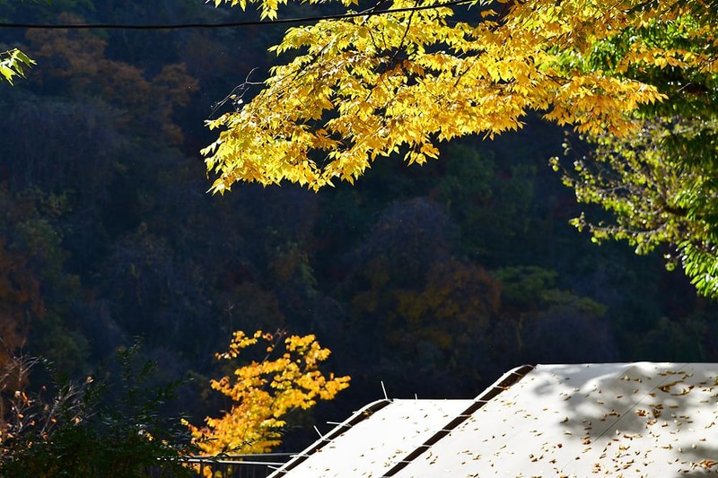 별빛누리 글램핑 시설 사진 15