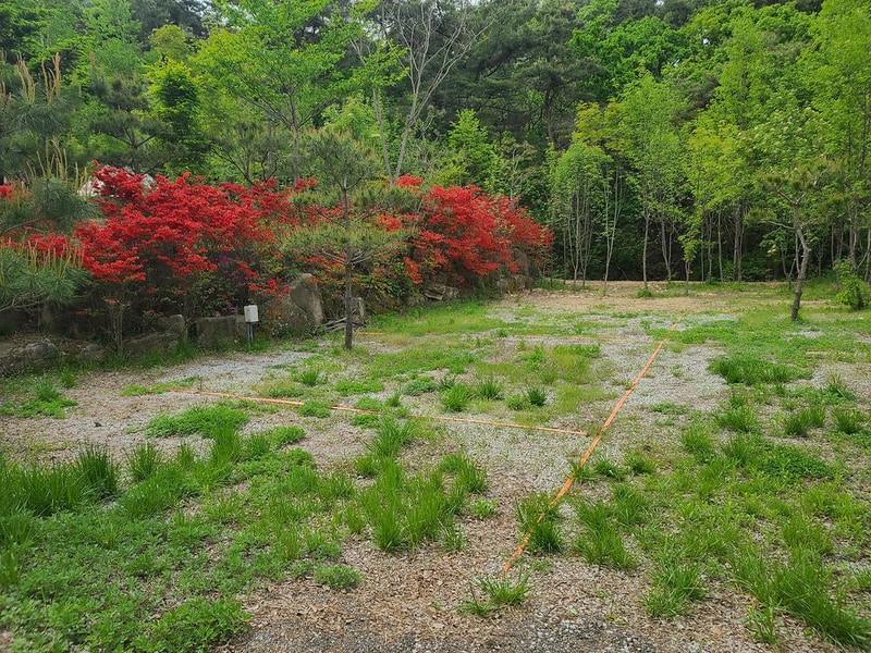 명봉산솔밭관광농원오토캠핑장 시설 사진 11