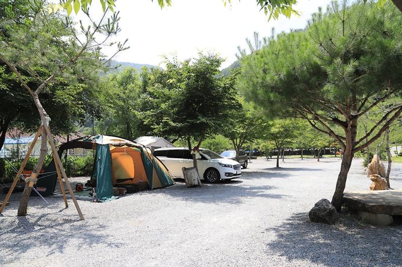 상우농장 야영장 대표 사진