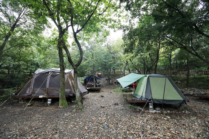 국립운문산자연휴양림 야영장 시설 사진 5