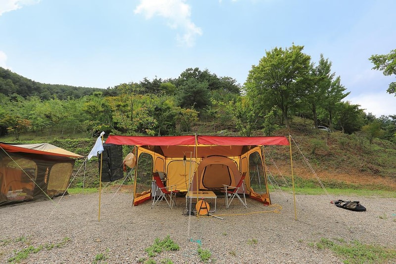 트리독스 애견전용캠핑장 시설 사진 16