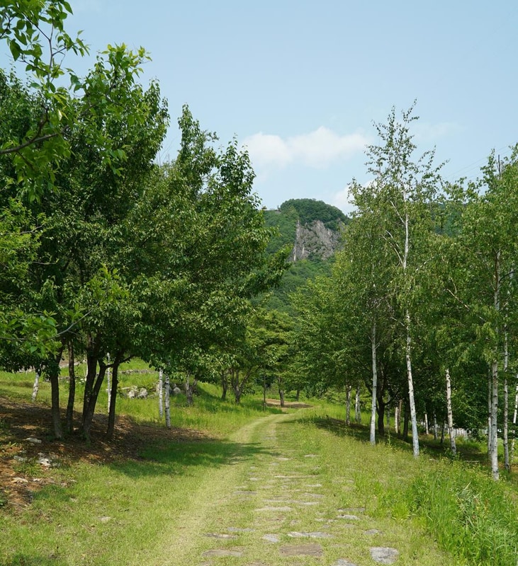 정선군생태체험학습장야영장 펫 동반 캠핑장 시설 사진 3