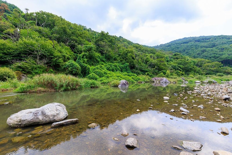 도둑골 신규 시설 사진 4