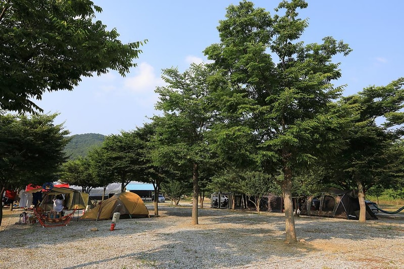 자연애캠핑장 시설 사진 11