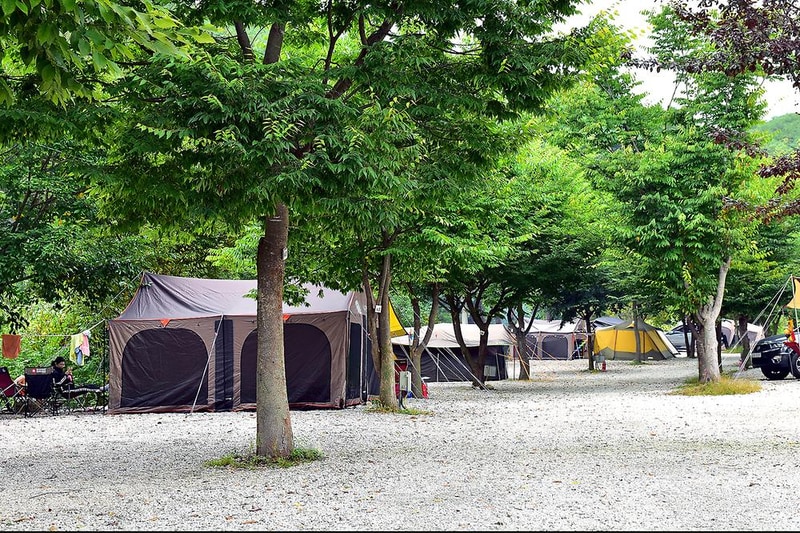 백운오양골캠핑장 시설 사진 8