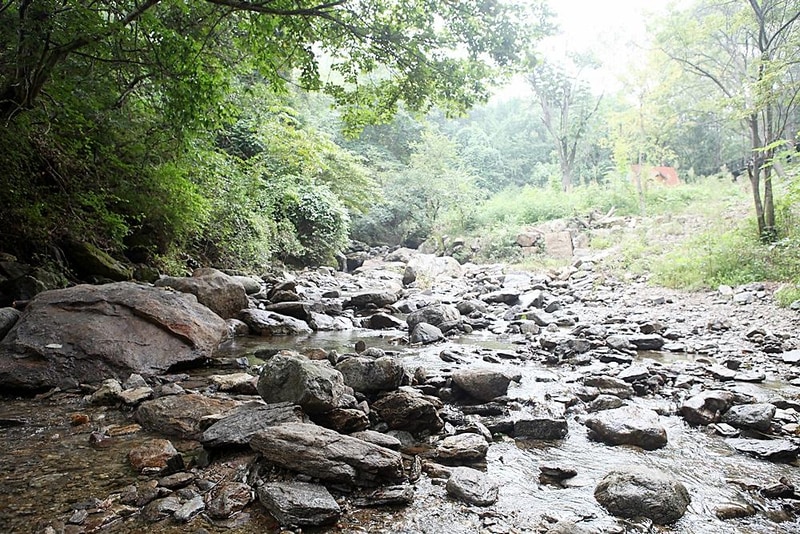 쿼크밸리캠프 야영장 시설 사진 8