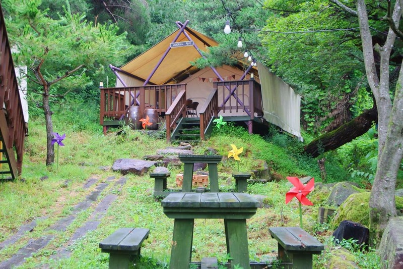 청풍월드니스글램핑 시설 사진 7