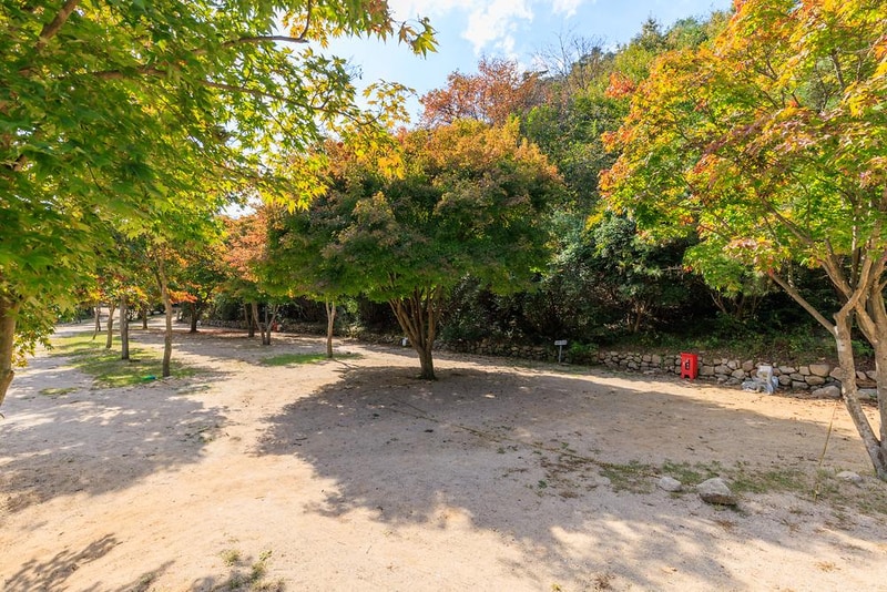 심천치유자연휴양림야영장 시설 사진 22