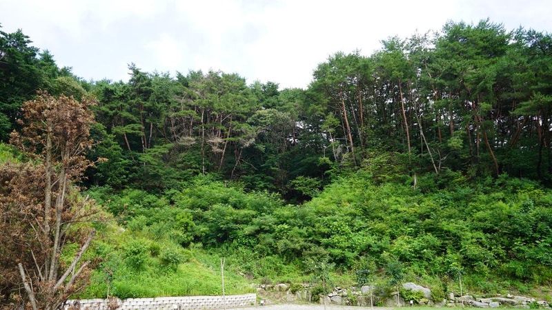 포애뜰 시설 사진 5