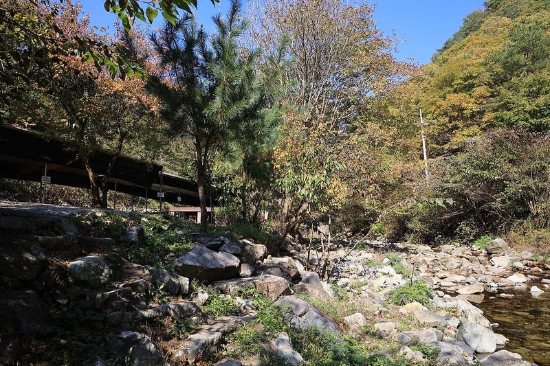 귀촌 관광농원 시설 사진 8