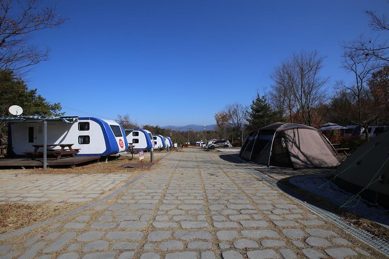 도림사오토캠핑리조트 시설 사진 37