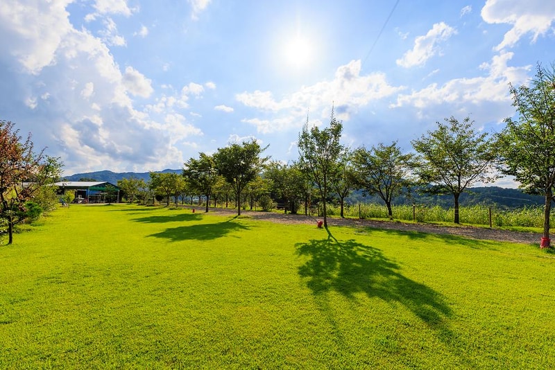 왕산골 관광농원 시설 사진 19