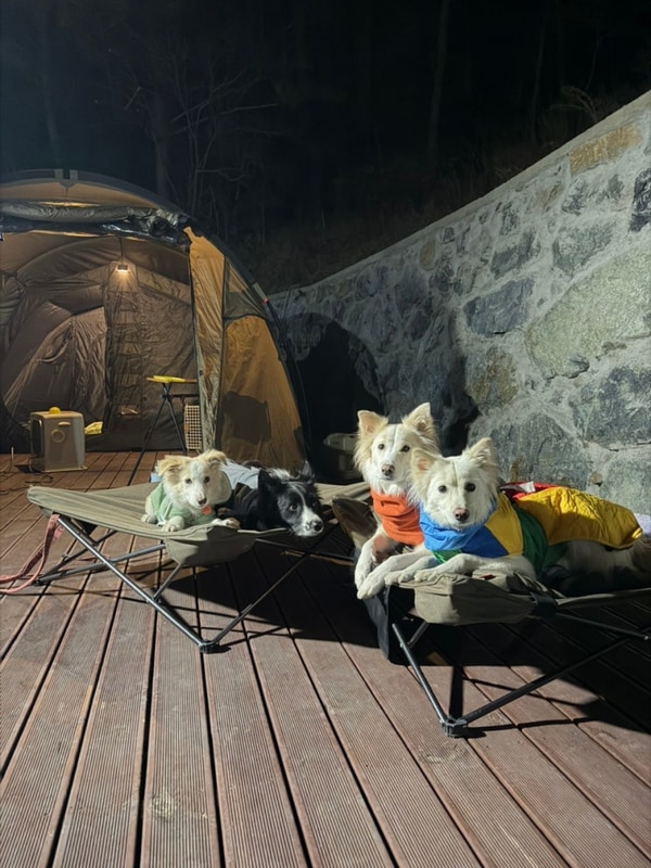 펫츠런파크 대표 사진