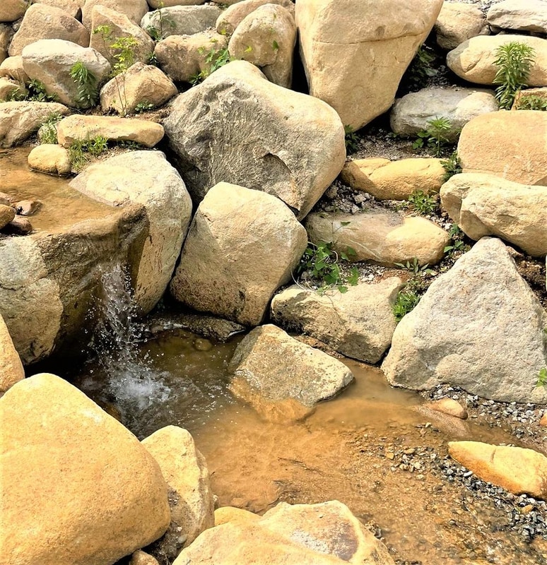 고라니 오토캠핑장 시설 사진 2